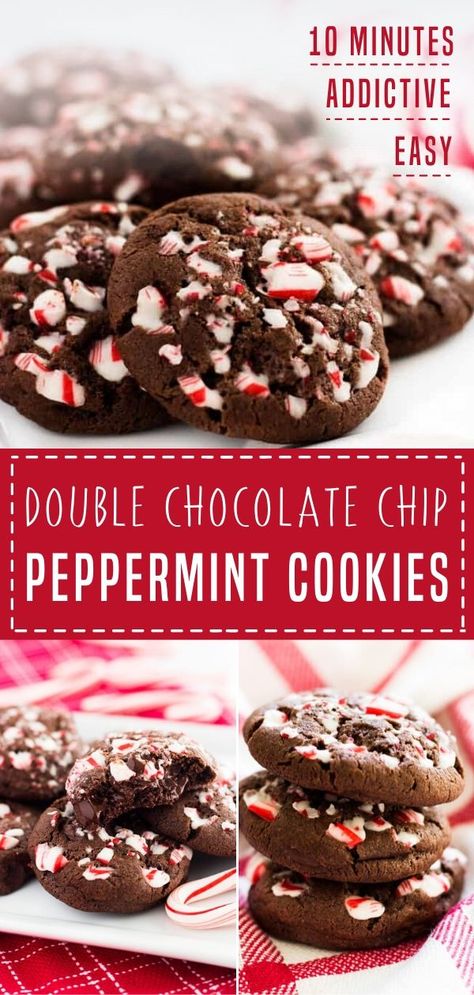 Peppermint Cocoa Cookies, Chocolate Cookies With Peppermint Chips, Hot Coco Cookies Recipes, Cookies With Crushed Candy Canes, Hot Cocoa Peppermint Cookies, Crushed Peppermint Cookies, Hot Chocolate Peppermint Cookies, Peppermint Hot Chocolate Cookies, Christmas Peppermint Cookies