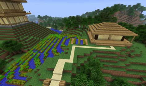 Asian Rice Field + House Minecraft Project Rice Fields Minecraft, Minecraft Rice Field, Rice Field House, House Designs Minecraft, Small Japanese House, Asian Maps, Rice Farm, Minecraft Japanese House, Minecraft Japanese