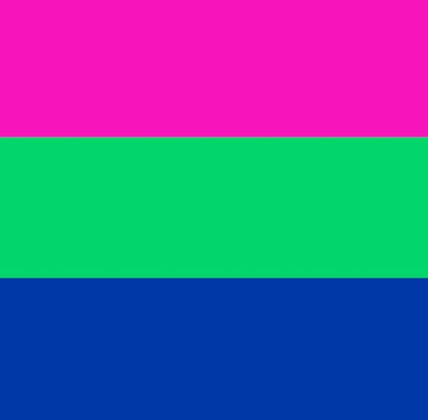 Poly Flag Aesthetic, Pride Calendar, Polysexual Flag, Poly Flag, Cat Gender, Lgbtq Pride Flags, Flag Maker, Together We Are Stronger, Lgbt Flags