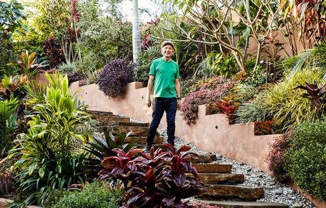 Will Studds Sub-Tropical Wonderland In Byron Bay Outdoor Small Garden Ideas, Slope Planting, Outdoor Small Garden, Penthouse Garden, Subtropical Garden, Garden Australia, Steep Gardens, Garden Tool Box, Riverside Garden