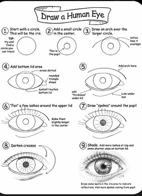 Human Eye Drawing, Draw An Eye, Easy Eye Drawing, Face Art Drawing, Pencil Drawings For Beginners, Pencil Drawing Tutorials, Eye Drawing Tutorials, Drawing Tutorial Face, Eye Sketch