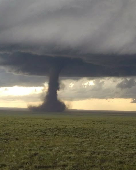 Tornado Aesthetic, Tornado Photography, Tornado Clouds, Tornado Pictures, Water Spouts, Crazy Weather, Tornado Warning, Storm Chasing, Storm Chaser