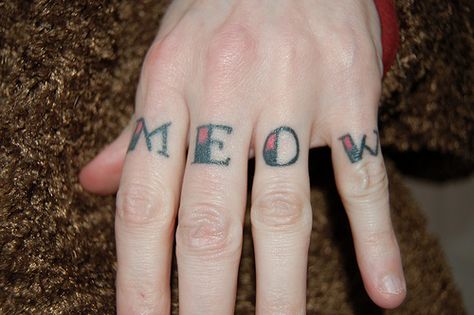 Meow knuckle tattoo Love Knuckle Tattoo, Knuckle Tattoos Words, Brass Knuckle Tattoo, Knuckle Tattoo, Devotional Images, Monami Frost, Knuckle Tattoos, Body Suit Tattoo, Celebrity Travel