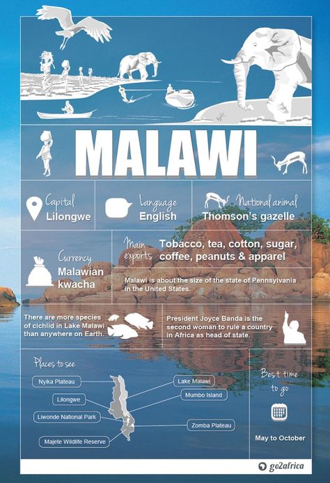 Malawi Travel, Africa Packing List, Malawi Africa, Country Information, Africa Vacation, Africa Travel Guide, Travel Infographic, African Travel, Africa Destinations