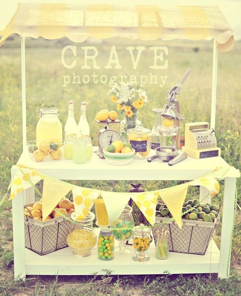 Lemon Stand, Lemonade Stand Party, Lemonade Stands, Summer Party Themes, Lemonade Party, Drink Bar, Stand Ideas, Summer Entertaining, Lemonade Stand