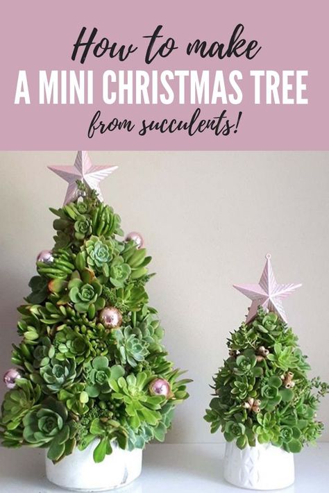 Succulent Christmas Tree, Succulent Christmas, Outdoor Christmas Diy, Succulent Tree, Christmas Garden Decorations, Diy Christmas Lights, Cheap Christmas Diy, Christmas Plants, Alternative Christmas