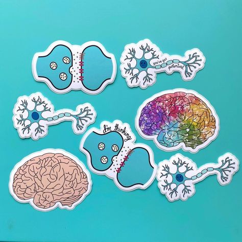 Neuroscience Sticker, Synapse Neurons, Neuron Synapse, Psychology Stickers, Watercolor Brain, Anatomy Stickers, Biology Projects, Science Stickers, Brain Anatomy