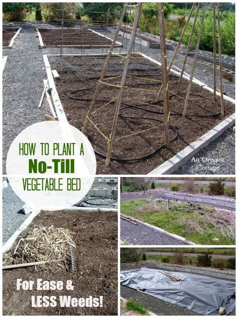 How to Plant a No-Till Vegetable Bed for Ease and Less Weeds! http://anoregoncottage.com/planting-garden-bed-no-till-way/ Planting A Garden, Dubai Garden, Dig Gardens, Vegetable Bed, Organic Vegetable Garden, Sustainable Garden, Organic Gardening Tips, Vegetable Garden Design, Hydroponic Gardening