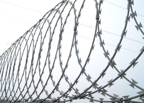 Concertina Razor Wire, also called Razor Wire. it the normal type of Razor wire you see around prisons and high security establishments.As an effective and economical security barrier, with its high security function, Concertina Razor Wire can prevent most of the intruders for it is hard and dangerous to broken. With the Concertina Razor Wire on the top of other fences, it can greatly improve the safety factor. The Intruders, Razor Wire