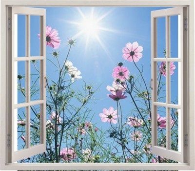 Open Window Summer | open the window on a brand new day, take a deep breath ... | summer l ... Most Beautiful Flower, A Brand New Day, Way To Heaven, Know Yourself, Snap Out Of It, Brand New Day, Background Ideas, Most Beautiful Flowers, Window View