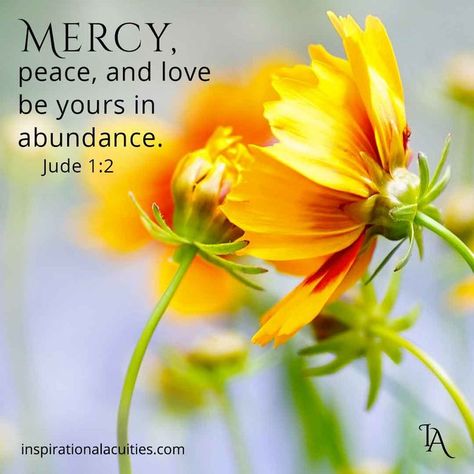 Jude 1:2 Mercy, peace, and love be yours in abundance. - Bible Verse Graphics - Inspirational Acuities Jude Bible, Divine Inspiration And Prayers, The Idealist Quotes, God Power, Grow Closer To God, Floral Bible Verse, A Bible Verse, Good Morning Inspiration, Sacred Scripture