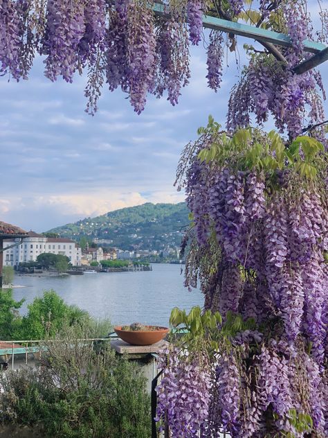 Lake Como Instagram, Italia Aesthetic, Wisteria Garden, Purple And White Flowers, Lake Como Wedding, Castle Garden, House By The Sea, Beautiful Locations Nature, Garden Boxes