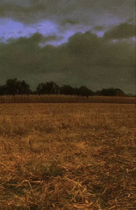 Creepy Photo Aesthetic, Farm Horror Aesthetic, Dark Rural Aesthetic, Creepy Cornfield, Horror Farm, Rural Horror, Gothic Prairie, Abandoned Field, Haunted Farm