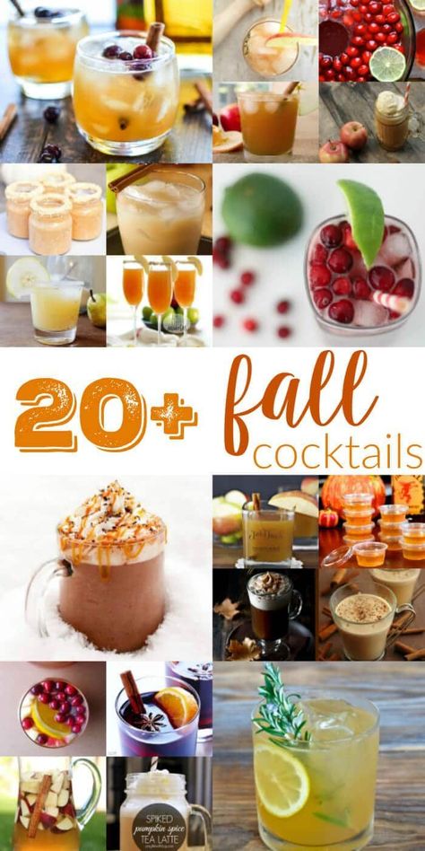 Fall Cocktail Recipes, Fall Cocktails Recipes, Fall Cocktail, Cozy Drinks, Friendsgiving Party, Beverage Recipes, Fall Fest, Boozy Drinks, Fall Cocktails