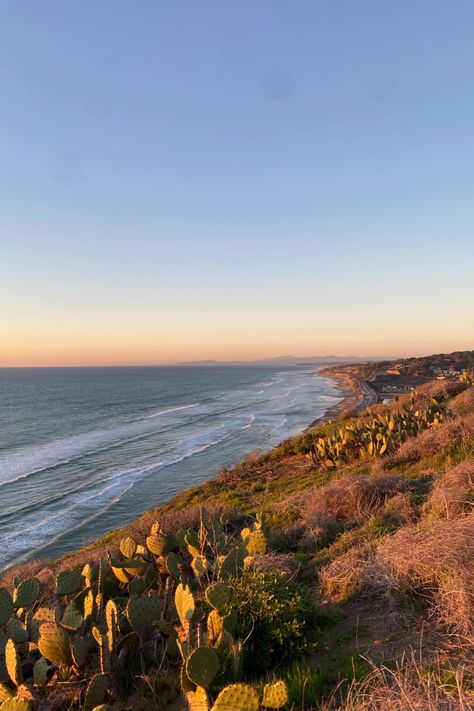 sunset hike att torrey pines state park, CA Torrey Pines Hike, Chicken Joe, Ocean Collage, General Aesthetic, Large Picnic, 2024 Moodboard, Travel Nurse, Outdoor Showers, San Diego Travel