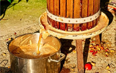 How to Press & Make Homemade Cider Making Hard Cider, Make Apple Cider, Homemade Cider, Leaf Mulch, Apple Press, Growing Garlic, Cider Making, Hard Cider, Glass Jug