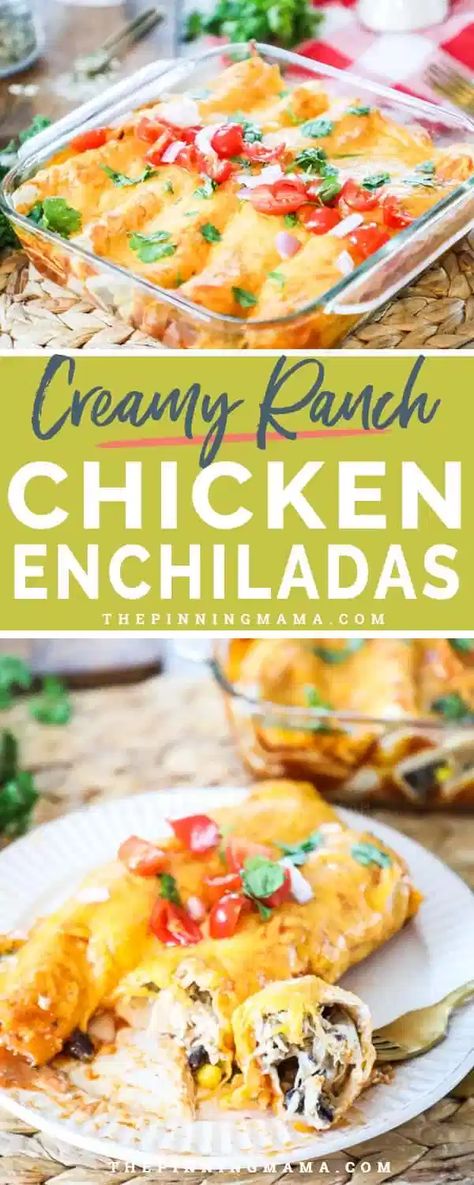 Ranch Chicken Enchiladas Easy, Ranch Enchiladas, Ranch Chicken Enchiladas, Meals Mexican, The Pinning Mama, Creamy Ranch Chicken, Ranch Chicken Recipes, Creamy Ranch, Sour Cream Chicken