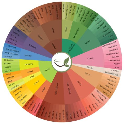 Wine Aroma Wheel, Coffee Flavor Wheel, Tea Brewing Temperature, Tea Color Palette, Gin Flavour Wheel, Tea Knowledge, Flavor Wheel, Chakra Tea Blends, Tea Infographic