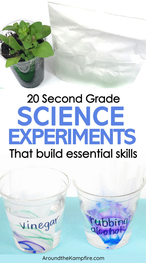 Cups being used for a solubility science experiment for second graders. Class Science Experiments, Science Anchor Charts 2nd Grade, Steam Lessons Elementary, Classroom Science Experiments, Science Kindergarten, 2nd Grade Science, Elementary Science Experiments, Teaching Plants, Water Erosion