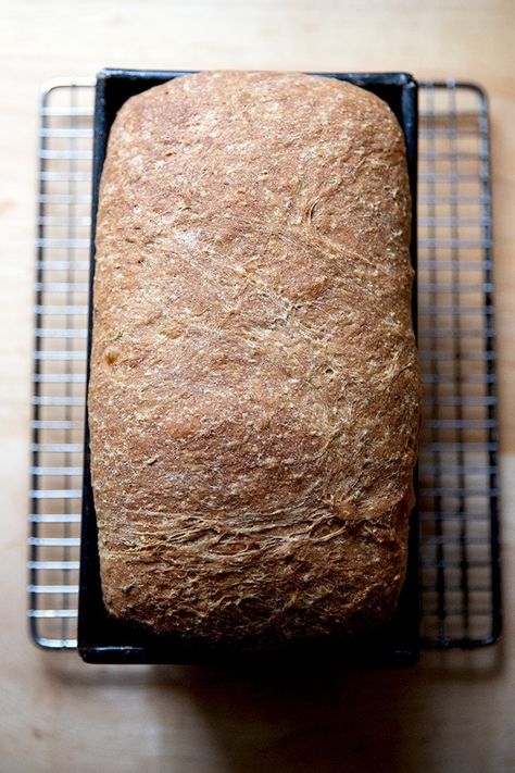 How to Make Homemade Rye Bread | Alexandra's Kitchen Breadmaker Rye Bread Recipe, Rye Sandwich Bread, Milling Flour, Alexandra Cooks, Homemade Rye Bread, Rye Bread Recipe, Bread From Scratch, Rye Bread Recipes, Yeast Recipes