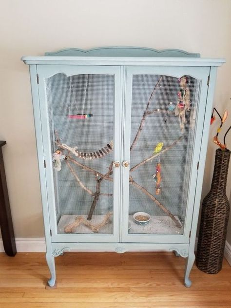 Repurposed Bird Cage Ideas, Parakeet Cage Ideas, Budgie Cage Setup, Big Bird Cage, Budgie Cage, Diy Bird Cage, Bird Cage Design, Parakeet Cage, Diy Birds