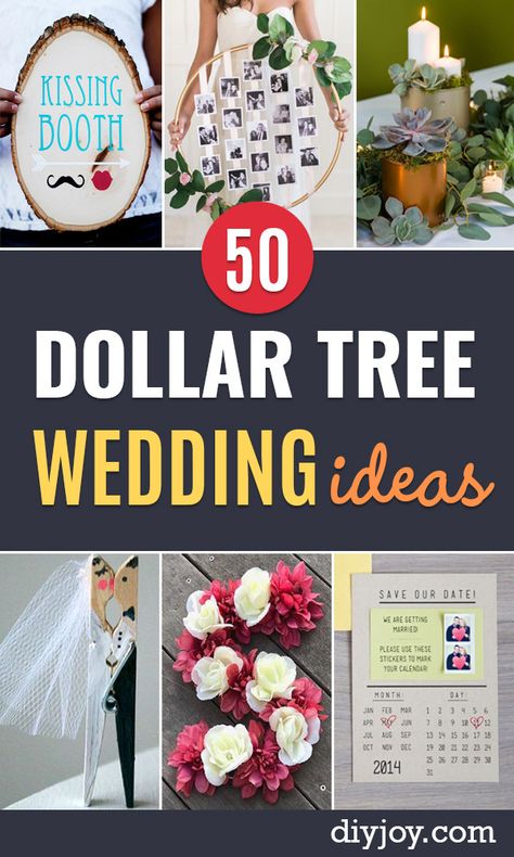 Dollar Tree Wedding Ideas - Cheap DIY Wedding Decor Ideas - Homemade Wedding Decorations for Bride on a Budget - inexpensive outdoor weddings , DIY Table Centerpieces, Flowers, favors, signs, crafts for weddings Dollar Tree Wedding Ideas, Dollar Tree Wedding Decorations, Budget Centerpieces, Wedding Tree Decorations, Dollar Tree Wedding, Cheap Wedding Decorations, How To Dress For A Wedding, Rustic Wedding Decorations, Wedding Decorations On A Budget