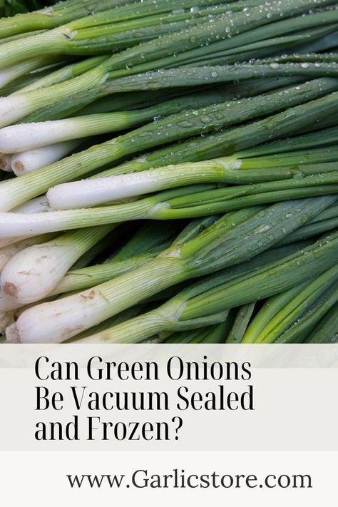 can-green-onions-be-vacuum-sealed-and-frozen Freeze Onions, Freeze Greens, Green Veggies, Onion Recipes, Freezer Cooking, Freezer Meals, Different Recipes, Vacuum Sealing, Green Onions