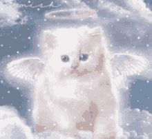 Angel Kitten, Glitter Gif, Gone But Not Forgotten, Kitten Images, Angel Cat, Glitter Graphics, Baby Gif, Big Love, Facebook Twitter