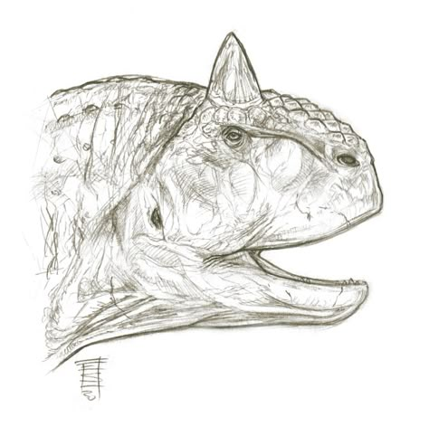 Carnotaurus Sketch, Carnotaurus Drawing, Dilophosaurus Drawing, Dino Sketch, Dinosaur Pencil, Dino Drawing, Pencils Sketch, Dinosaur Sketch, Real Dinosaur