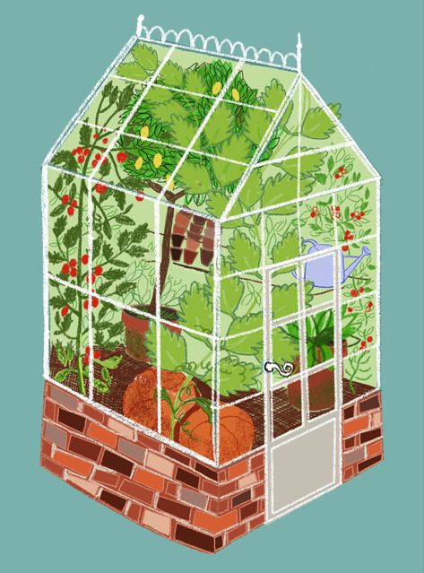 Greenhouse Illustration Art, Greenhouse Drawing, Greenhouse Illustration, Illustration Print, Digital Illustration, Digital Drawing, Decorative Boxes, Drawing Illustrations, Illustration Art