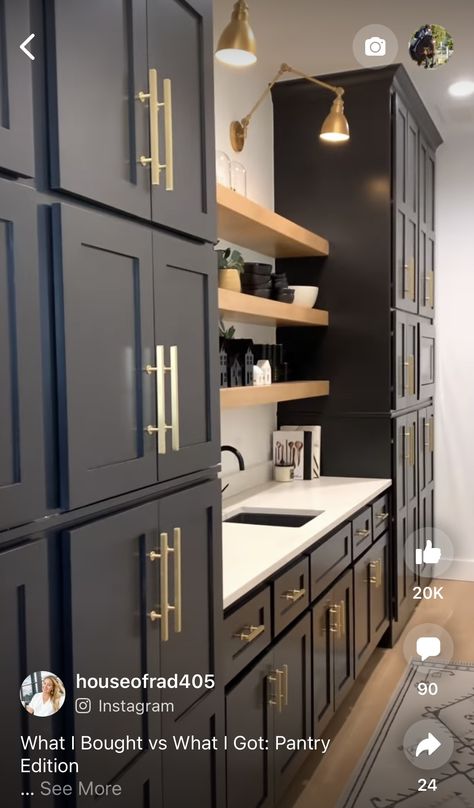 Walking Pantry, Built Ins Dining Room, Laundry Hallway, Basement Redesign, Dark Blue Kitchens, Pantry Closet Design, Kitchen 2023, House Pantry, Pantry Remodel