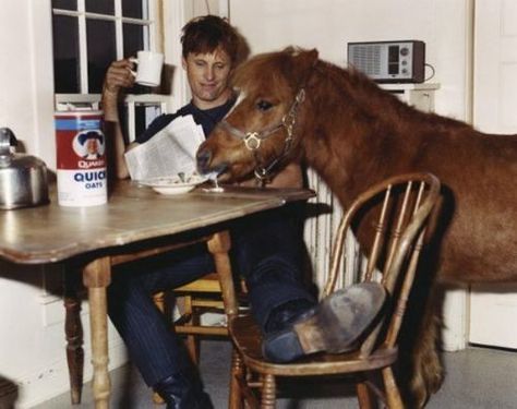 Viggo Mortensen and a pony circa 1980s. Lotr Funny Behind The Scenes, The Hobbit Behind The Scenes, Legolas Behind The Scenes, Lotr Behind The Scenes, Lotr Funny, Viggo Mortensen, Into The West, Jrr Tolkien, Legolas