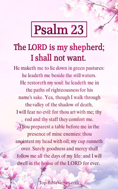 Psalm 23 Kjv, Bible Verse Images, Christian Modesty, Psalms Quotes, I Shall Not Want, Surely Goodness And Mercy, Jesus Scriptures, Verse Images, Psalm 23 1