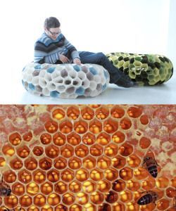 Honeycombs in Households Biodesign Product, Biomimicry Design Products, Bio Mimicry, Biomorphic Design, Biomimicry Examples, Biomimicry Design, Biomimicry Architecture, Bionic Design, Bio Design