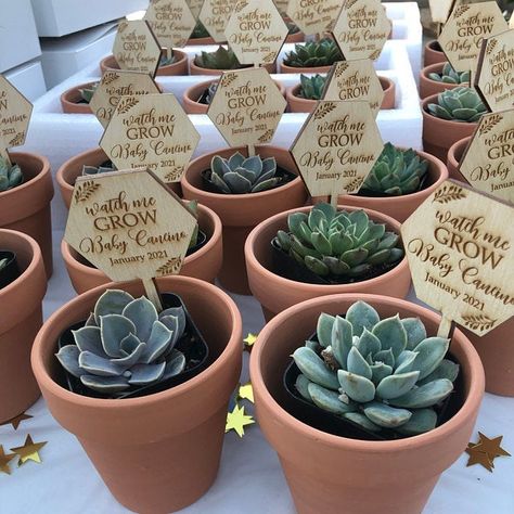 "Mini wood succulent planter tags perfect for your baby shower favors! | DETAILS | - This listing is for one Personalized \"Watch Me Grow\" Succulent Stick - Stick is 2\" x 3.75\", 1/8\" wood - All wording is laser engraved into the wood - Option of hexagon, circle, or square sticks | HOW TO ORDER | 1. Select your shape in the pull down menu. 2. Select the amount of sticks you would like in the quantity pull down menu. 3. In the \"Personalization Box\", please leave the name and date. ** Succule Watch Me Grow Succulents, Baby Shower Succulents, Succulent Shower Favors, Watch Me Grow Baby Shower Favors, Watch Me Grow Baby Shower Theme, Succulent Baby Shower Favors, Watch Me Grow Tags, November Baby Shower, Baby Shower Gift Favors