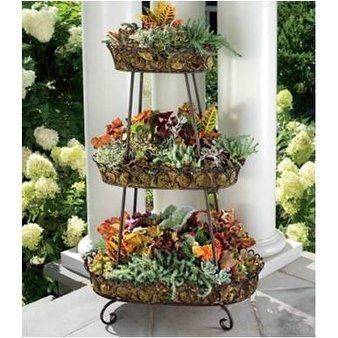 Wrought iron plant stands