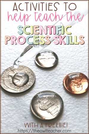 Teaching Scientific Method, Scientific Method Experiments, Scientific Method Activities, Science Process Skills, Owl Teacher, Scientific Process, Life Science Activities, The Scientific Method, Science Skills