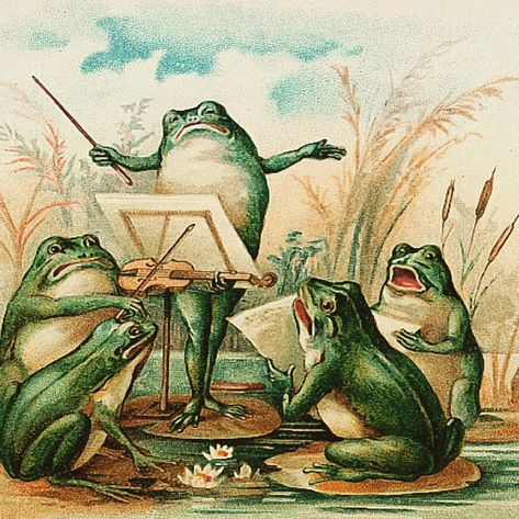 Madame Treacle on Instagram: “The Frog's Chorus #vintage #illustration #frog #art #vintageart #card #singing #madametreacle #riverside #river #designs…” Response Pictures, Playing The Violin, Frog Illustration, Spring Illustration, The Violin, Frog Art, Vintage Illustrations, Frog And Toad, Arte Animal