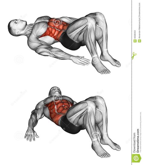 Fitness Exercising. Alternate Heel Touchers - Download From Over 63 Million High Quality Stock Photos, Images, Vectors. Sign up for FREE today. Image: 66588453 Simple Exercise, Heel Touches, Ab Workout Men, Best Ab Workout, Cardio Workouts, Science Journal, Lower Abs Workout, Best Abs, Abs Workout For Women