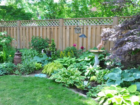 Three Dogs in a Garden: A Shade Garden in Oakville, Ontario Ontario Backyard Landscaping, Ontario Landscaping Ideas, Ontario Garden Ideas, Northeast Landscaping, Ontario Garden, Bungalow Landscaping, Garden Scapes, Shade Garden Design, Vegetables Garden