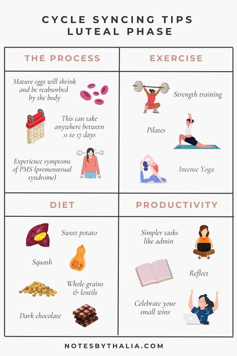 Cycle Syncing Luteal Phase Tips Infographic that includes the process, exercise, diet and productivity; with black text over white background with cute icons Hormone Nutrition, Period Blood, Period Cycle, Luteal Phase, Woman Health, Cycle Syncing, Healthy Hormones, Menstrual Health, Feminine Health