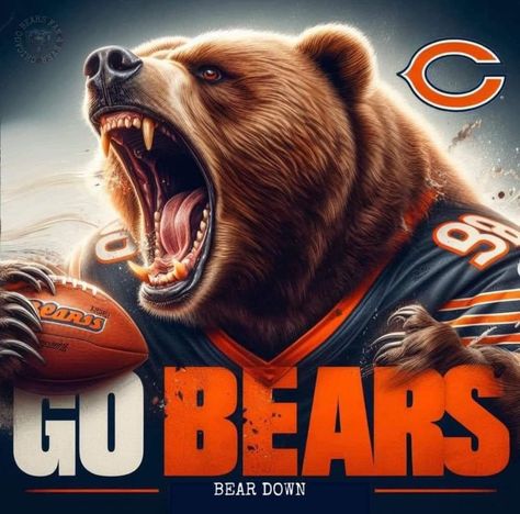 Chicago Bears Quotes, Chicago Bears Memes, Chicago Bears Wallpaper, Bears Pictures, Chicago Bears Pictures, Bears Art, Phone Images, Bears Wallpaper, Sports Wallpaper