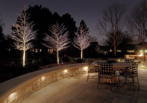 I love this patio lighting. The lights under the seat wall cap are a low-voltage copper step light, which can also be used on deck & patio steps. The lights on the bald cypress trees are low-voltage well lights. Path Lighting Ideas, Patio Walls, Hardscape Lighting, Seating Wall, Seat Wall, Traditional Patio, Bench Area, Backyard Renovation, Outdoor Lighting Design