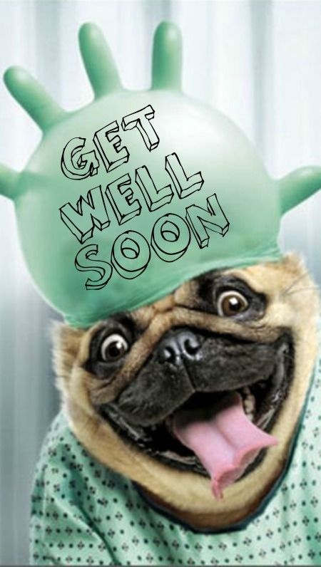 Feel Better Funny, Get Well Funny, Get Well Soon Images, Get Well Soon Funny, Get Well Soon Quotes, Hope Youre Feeling Better, Get Well Soon Messages, Get Well Messages, Feel Better Quotes