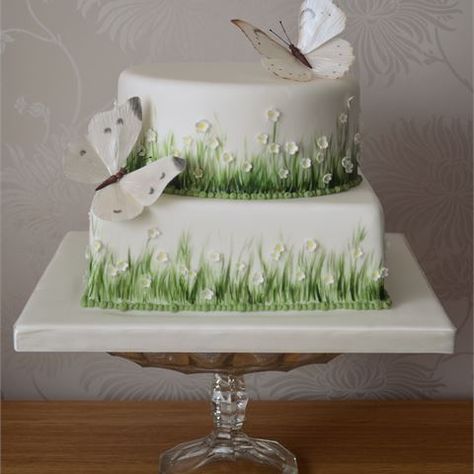 Edible Butterflies, Spring Wedding Cake, Daisy Cakes, Garden Cakes, Spring Cake, Buttercream Wedding Cake, Butterfly Cakes, Elegant Wedding Cakes, Painted Cakes