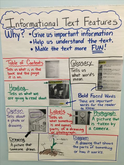 Anchor Chart I made for 1st Grade Informational Text Features Text Features First Grade, Informational Text Middle School, Informational Text Anchor Chart, Informational Text Activities, Informational Text Graphic Organizer, Text Structure Anchor Chart, Text Structure Activities, Text Feature Anchor Chart, Writing Informational Text