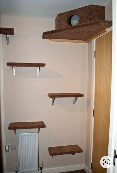 Diy Cat Shelves, Cat Tree Plans, Cat Room Decor, Cat Playground Outdoor, Cat Climbing Wall, Cat Wall Shelves, Diy Cat Tree, Cat Wall Furniture, Cat House Diy