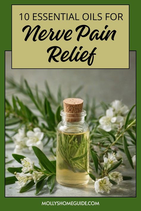 Discover the power of essential oils for nerve pain relief with these natural remedies. Whether you're looking to ease sciatic nerve pain or find relief from neuropathy, these effective essential oil blends can help. Try using Helichrysum, Lavender, Peppermint, Eucalyptus, Rosemary, Ginger, Chamomile, Frankincense or Cypress oil to alleviate discomfort. Explore natural pain relief essential oil recipes to create your own soothing blends at home. Essential Oils For Pinched Nerve, Sciatic Nerve Pain Relief Remedies, Sciatic Nerve Pain Relief Essential Oils, Herbs For Nerve Damage, Pudendal Nerve Pain Relief, Essential Oils For Back Pain Relief, Muscle Relaxer Essential Oil, Essential Oils For Nerve Pain Relief, Essential Oil Recipes For Skin