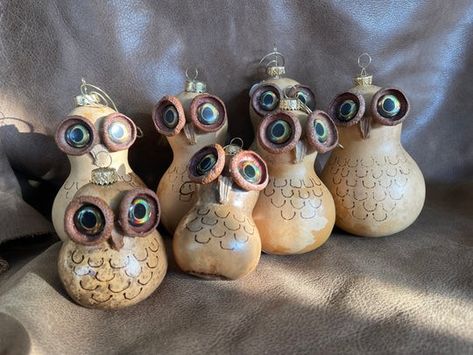 Mini Gourds Decorating Ideas, Gourds Diy, Halloween Gourds, Gorgeous Gourds, Clay Owl, Light Bulb Ornaments, Medicine Man, Gourds Birdhouse, Decorative Gourds