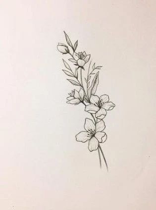 Floral Tattoo Dainty, Sampaguita Drawing, Flower Tattoos Ribs, Filipino Flower Tattoo, Sampaguita Tattoo, Sampaguita Flower Tattoo, Gladiolus Flower Tattoos, Jasmine Tattoo, Gladiolus Tattoo